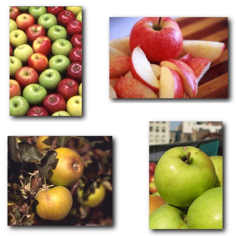 Apple-mix.jpg